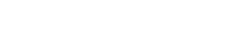 The Insurancewala - Working Process Flow Shape